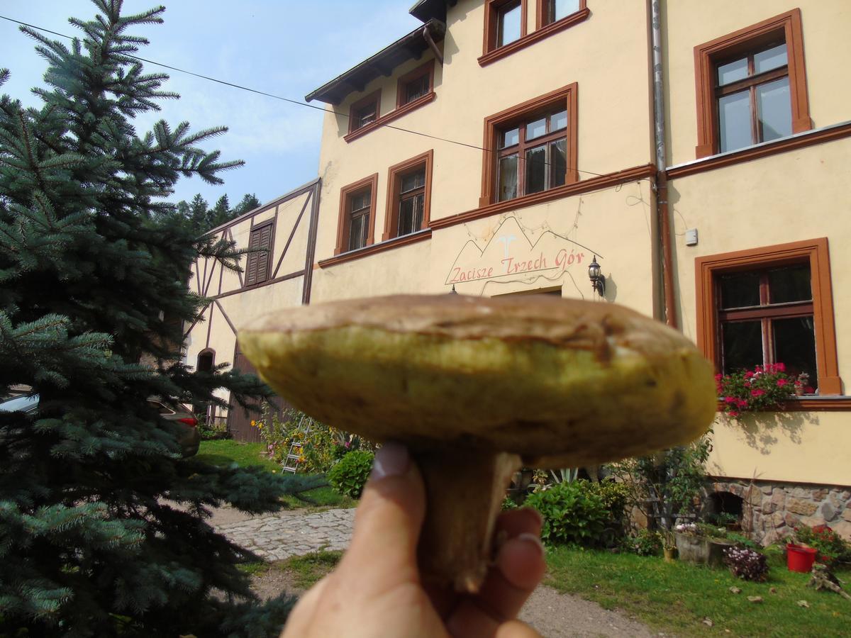 Zacisze Trzech Gor Villa Jedlina-Zdroj Luaran gambar