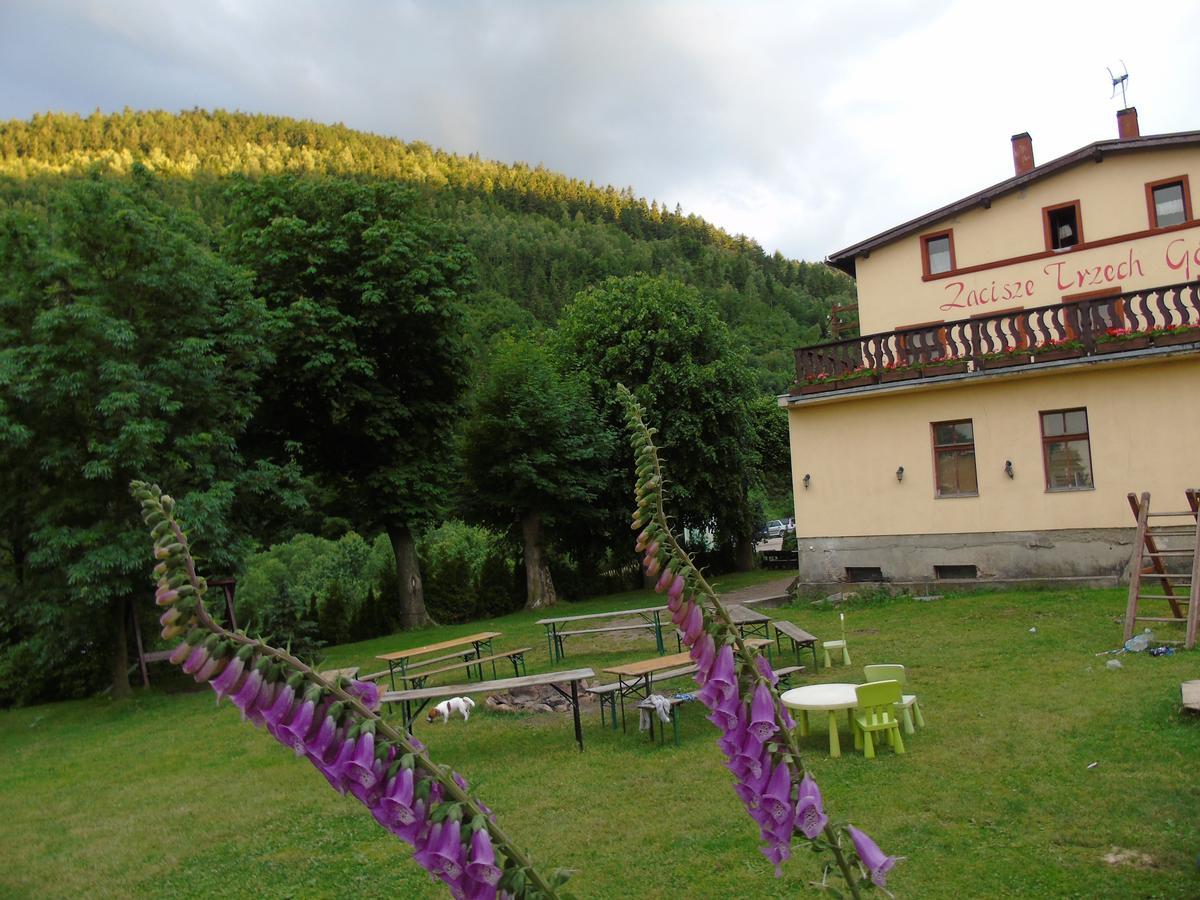 Zacisze Trzech Gor Villa Jedlina-Zdroj Luaran gambar