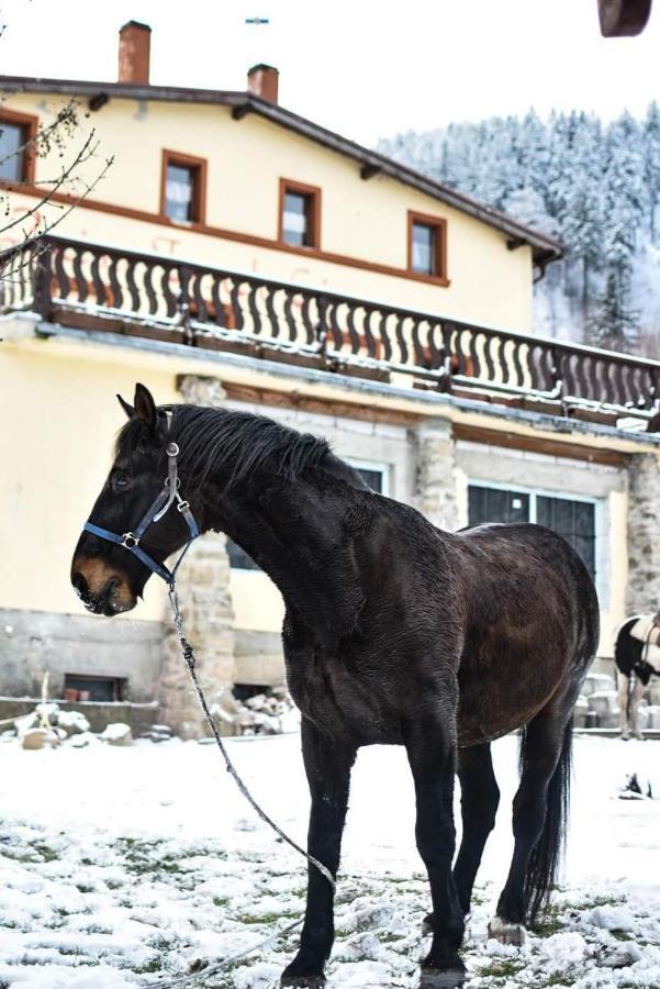 Zacisze Trzech Gor Villa Jedlina-Zdroj Luaran gambar