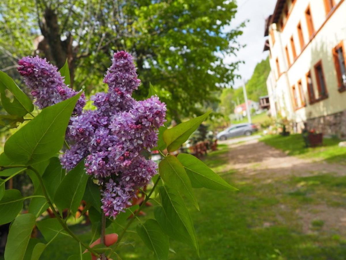 Zacisze Trzech Gor Villa Jedlina-Zdroj Luaran gambar